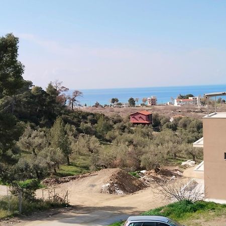 Theasis1 Villa Neos Marmaras Bagian luar foto